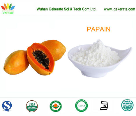 Papainsuperreinheitsprotease gereinigt von der Papayafrucht, Nahrungsmittelenzyme